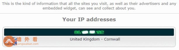 你的IP地址
